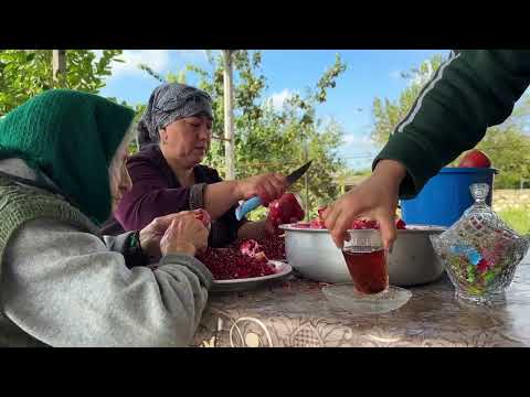 Harvesting Pomegranates One Fruit Two Amazing Recipes
