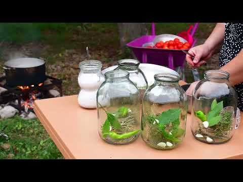 Country Life Vlog Azerbaijan Making PICKLED TOMATOES in
