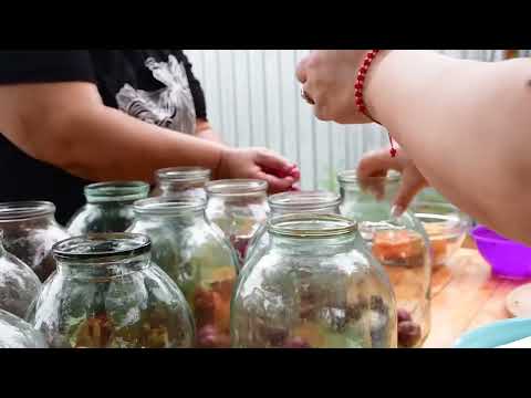 HARVESTING MULBERRY MAKING FOR WINTER NATURAL MULBERRY