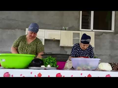 Harvesting Fresh Eggplant Tomato and Cucumber Preparing