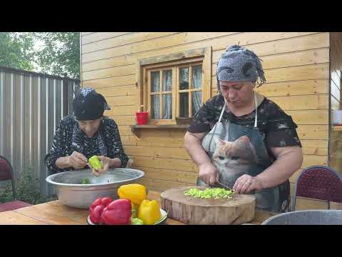 Secret Method to Keep Tomatoes Fresh for YEARS No Freezer