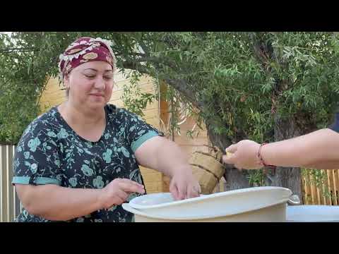 Harvesting Lots of Figs and Making Fig Jam