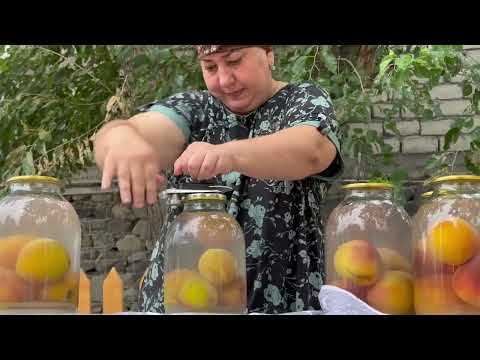 Harvesting Peach Cornelian Cherry Plum Making Juice and