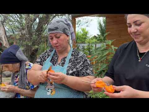Harvesting Fresh Apricots Homemade Apricot Jam Pie Recipe