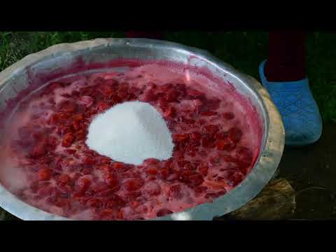 1000 STRAWBERRY GRANDMA ROSE MAKING STRAWBERRY JAM AND PIE