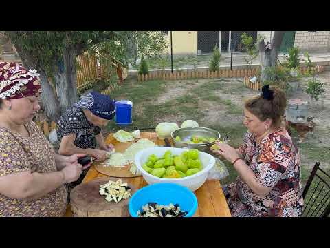 Harvesting Bell Peppers and Making Traditional Stuffed