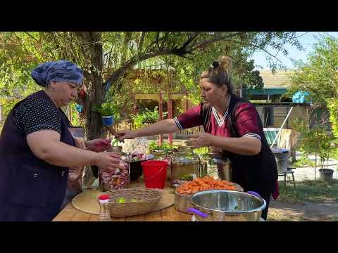 Harvesting Fresh Cabbage Tomato Fresh Cabbage Tomato Pickle