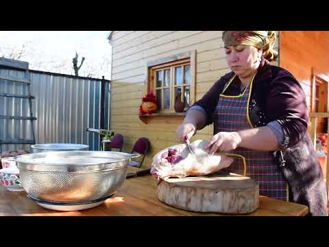 Harvesting Japanese Silverberry Fruit Making Jam and