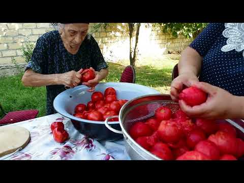 Making TOMATO SAUCE with EGGPLANT and PEPPER