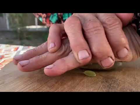 Harvest Walnuts Making Baklava and Cooking Quince Dolma and