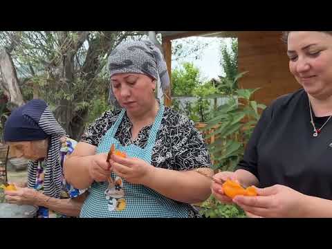 Harvesting Fresh Apricots Cherries Strawberries Homemade