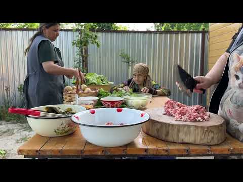 Harvesting Grape Leaves Grandma s Favorite Traditional