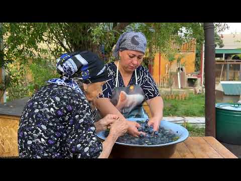 Harvesting Fresh Blackthorn Homemade Compote A Delicious
