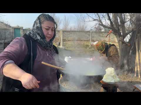 Cabbage Harvest Making a Unusual Azerbaijani Dolma Recipe