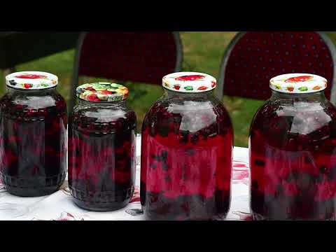 Picking Wild Blackberries and Making Blackberry Jam and