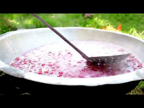 Super Easy GOOSEBERRY Jam Country Life Vlog