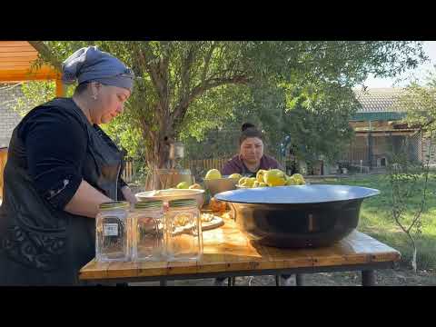 Picking Fresh Big Quinces Making Jam Compote and Quince