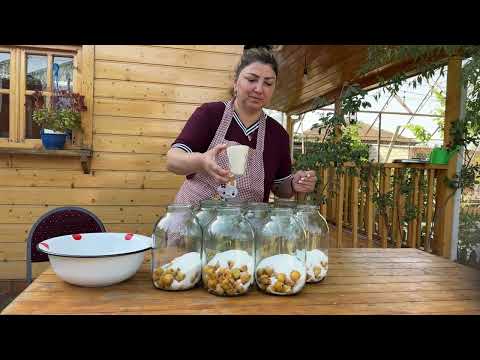 10000 Golden Loquat Harvesting Grandma Making Compote and