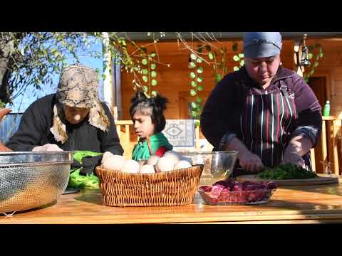 Recipes Cooked with Fresh Herbs in Nature A Sunny Day in
