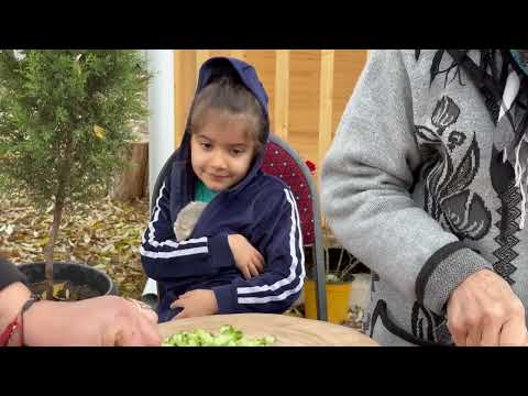 Fried Quails Kebab on The Grill in Azerbaijan Village