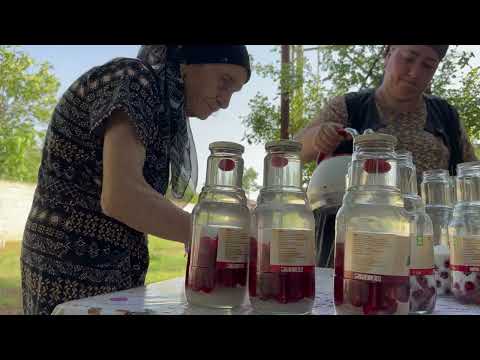 10000 CHERRY HARVESTING MAKING NATURAL CHERRY JUICE AND PIE