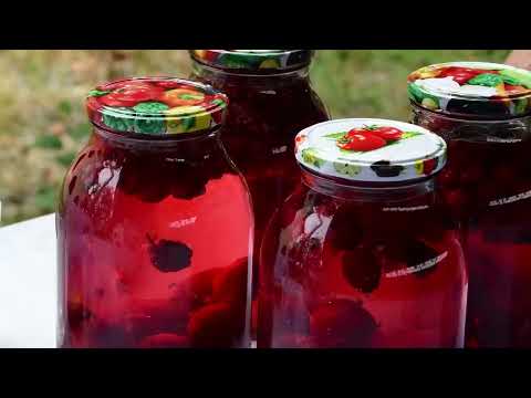 Picking Black Mulberries and Making Natural Juice for Winter