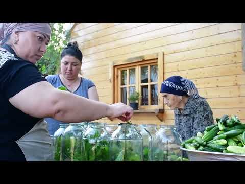 Harvesting Cucumbers Pickle Making and Lemon Chicken Recipe