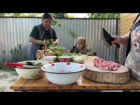Dolma Grandma Fresh Grape Leaves Harvest Traditional