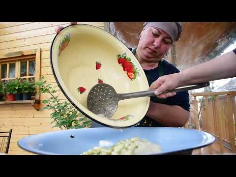WHITE MULBERRY HARVEST IN OUR VILLAGE WE COOKED DELICIOUS