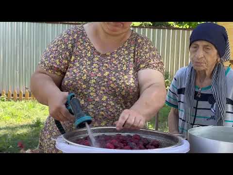 Plum Harvest Making Plum Appetizers