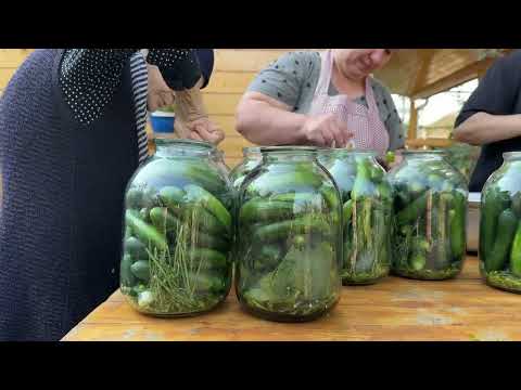 From Garden to Table Grandma Makes Pickles Cooks Lemon