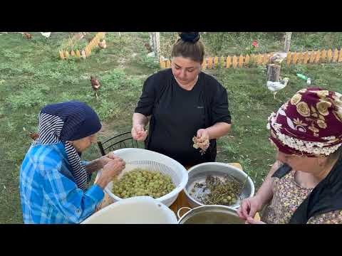 HARVESTING 20 KG GRAPE MAKING GRAPE JAM AND PIE