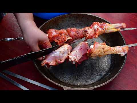 Cooking Turkey Kebab with Vegetables Country Life Cooked in
