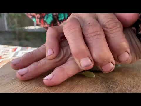 COLLECTING WALNUT AND MAKE AZERBAIJANI BAKLAVA ON THE