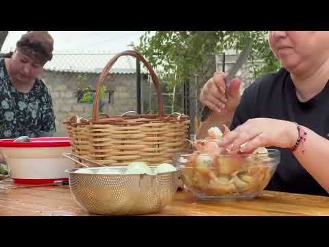 Mix of Eggplant and Fruit Harvest Grandma Cooked a Huge