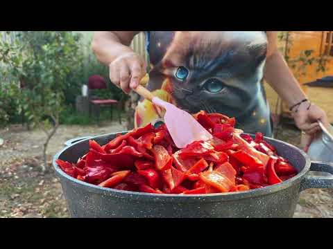 Fresh Tomatoes to Perfect Paste Homemade Paste Recipe