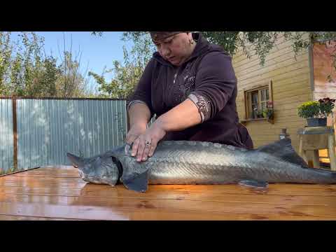 An Extraordinary Recipe One Beluga Fish Two Different