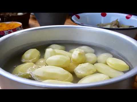 HARVESTING TONS OF POTATOES FROM GARDEN COOKING PERASHKI
