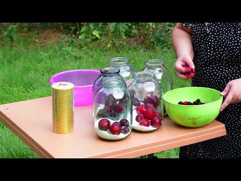 Like a Real Blood Mulberry and Cherry Plum compote