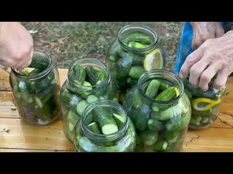 Mix of Cucumber Harvest Watermelon Juice and Delicious