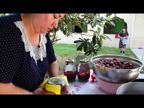 HARVESTING LOT OF PLUMS AND MAKING NATURAL DRINK JAM AND