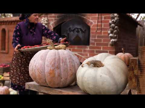 From Garden to Plate Traditional Stuffed Bell Peppers