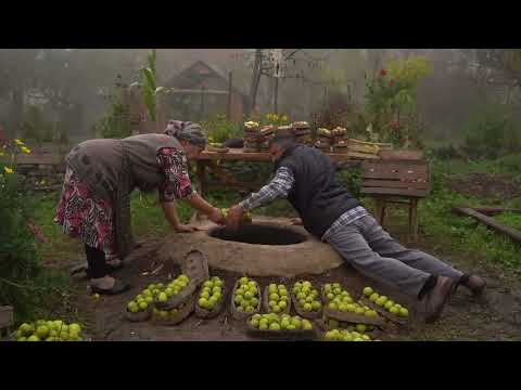 Drying Fruits Like It s 1 000 Years Ago Ancient Fruit