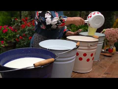Fresh Adana Cheese from Cow s Milk A Village Tradition