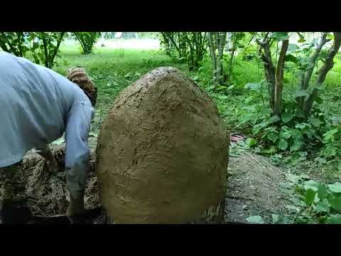 Nənə Palçıqdan Soba Düzəltdi Primitive Mud Oven