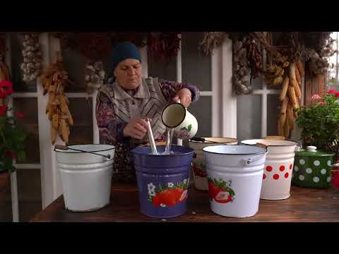 Cheesemaking Homemade Cottage Cheese from Whole Milk