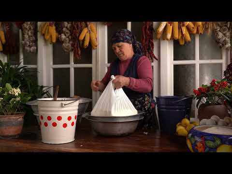 From Fresh Cow Milk to Homemade Cheese Rustic Cheese Pie
