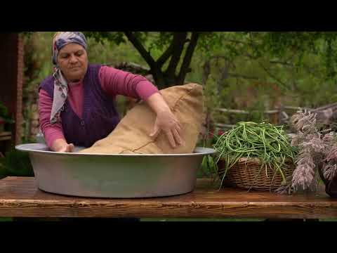 Pickled Garlic Arrows for the Winter are the Best Recipe