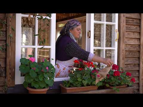 Simple Village Baking Easy Sesame Bread Recipe