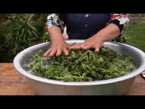 Cooking Spring Kutabs Spring Food from Nature